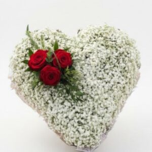 heart