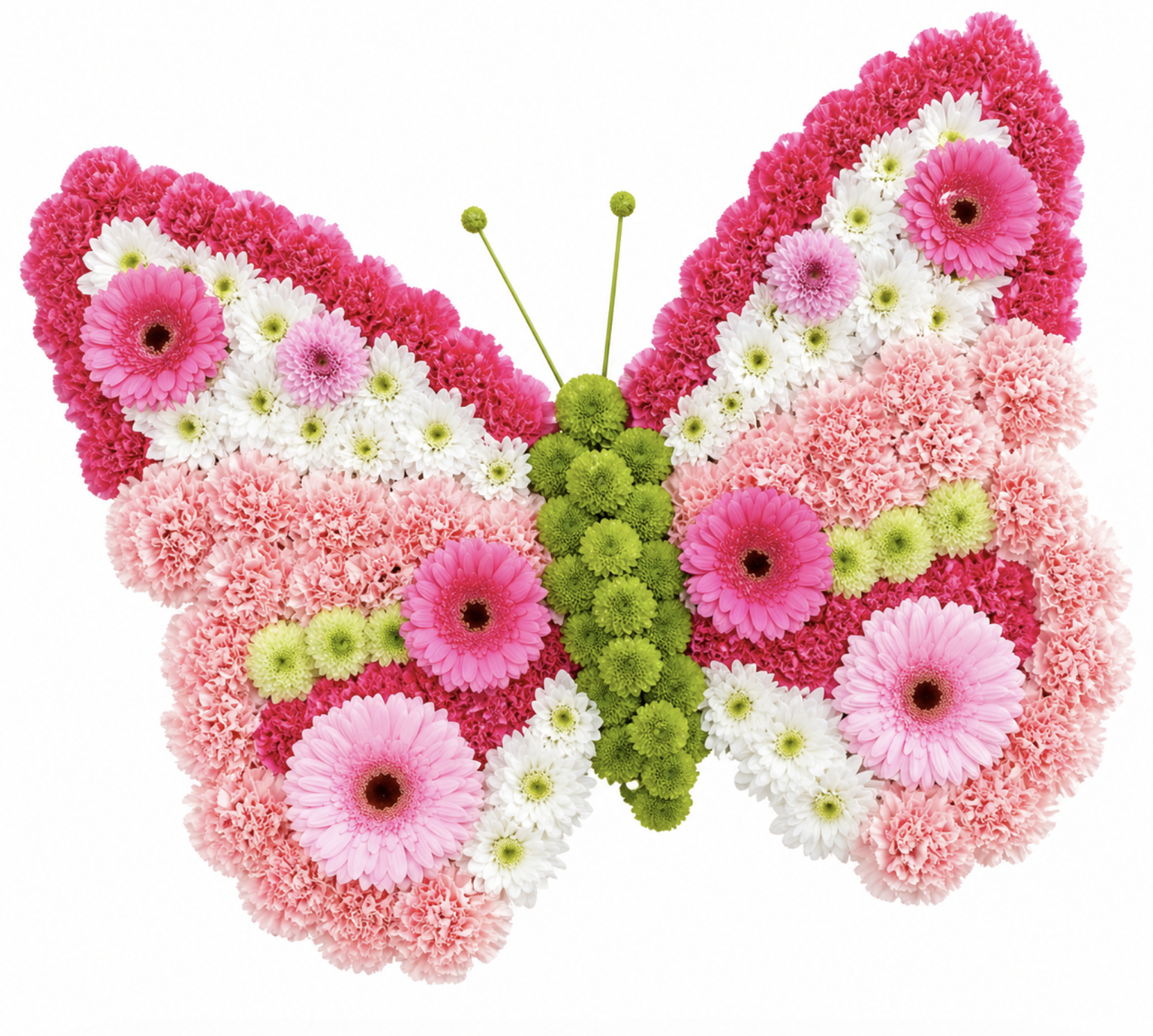 Butterfly shaped floral funeral tribute Ma